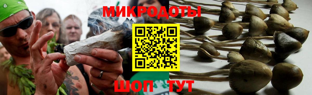 Псилоцибиновые грибы Cubensis  Вход с VPN  Саяногорск 